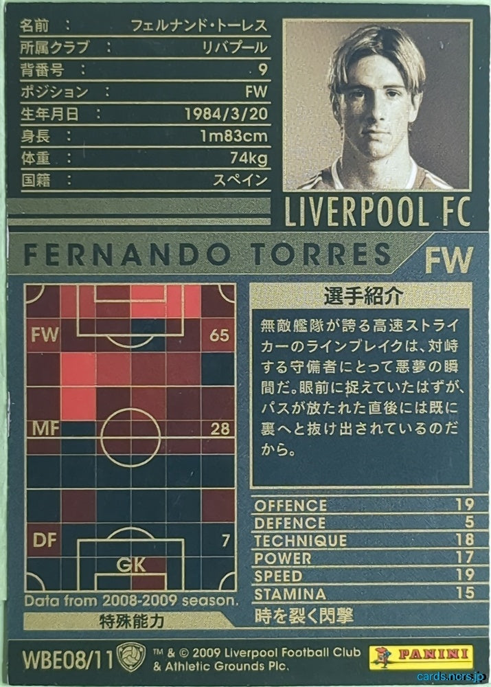 Panini WCCF Football WCCF/2008-2009-WBE08/11 N FERNANDO TORRES Trading Card NM