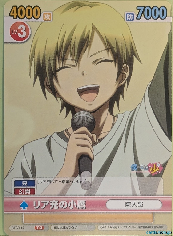 Victory Spark Haganai VS/BTS/115 TD Kodaka Hasegawa Trading Card NM