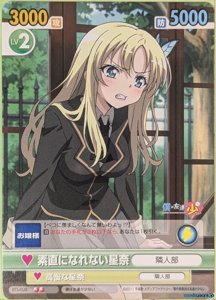 Victory Spark Haganai VS/BTS/028 2 Star Sena Kashiwazaki Trading Card NM