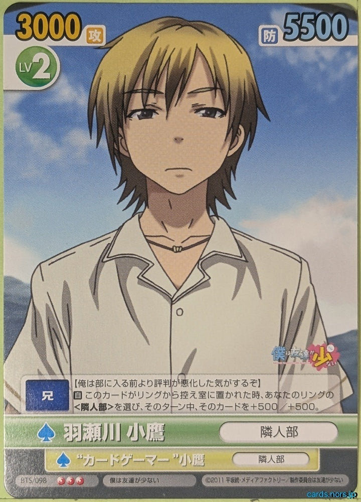 Victory Spark Haganai VS/BTS/098 3 Star Kodaka Hasegawa Trading Card NM