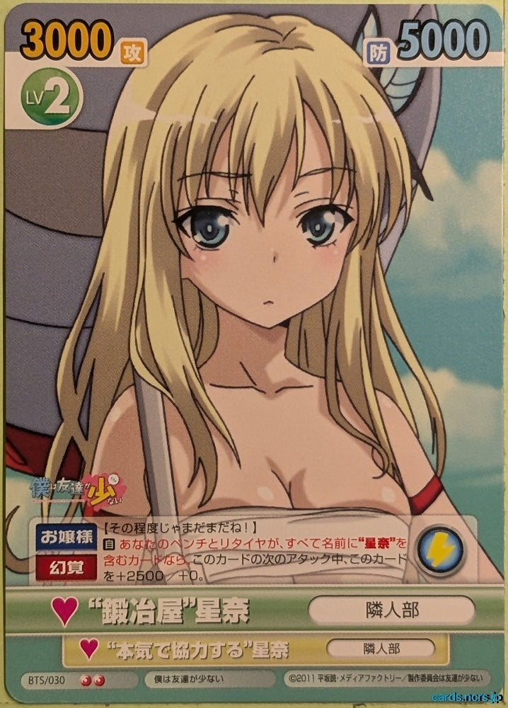 Victory Spark Haganai VS/BTS/030 2 Star Sena Kashiwazaki Trading Card NM