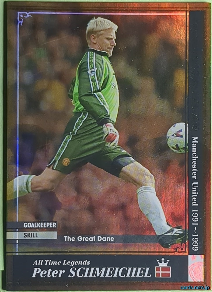 Panini WCCF Football WCCF/1991-1999-ATLE-SCHMEICHEL N Peter Schmeichel Trading Card EX
