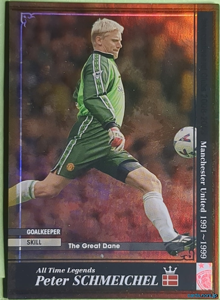 Panini WCCF Football WCCF/2008-2009-ATLE-SCHMEICHEL N Peter Schmeichel Trading Card EX