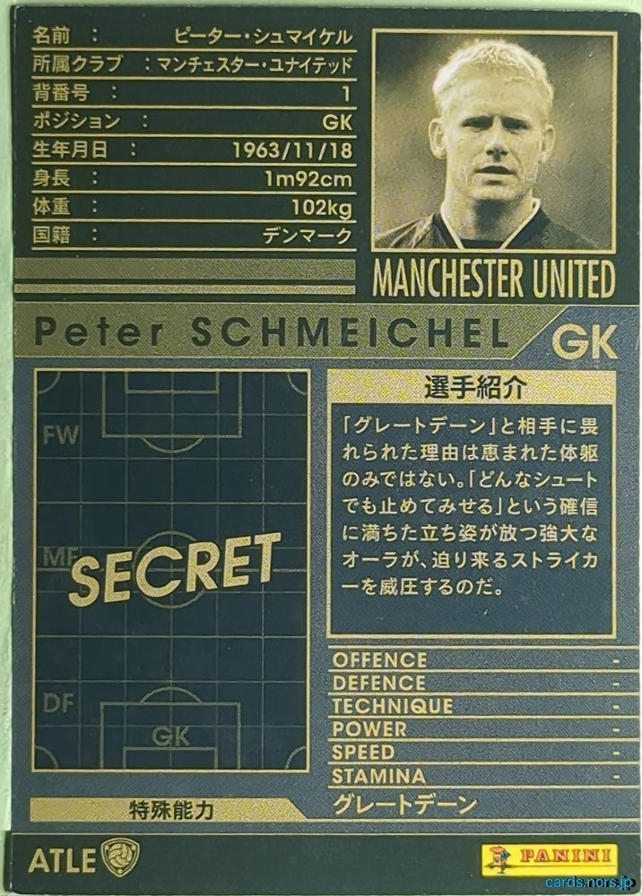 Panini WCCF Football WCCF/2008-2009-ATLE-SCHMEICHEL N Peter Schmeichel Trading Card EX