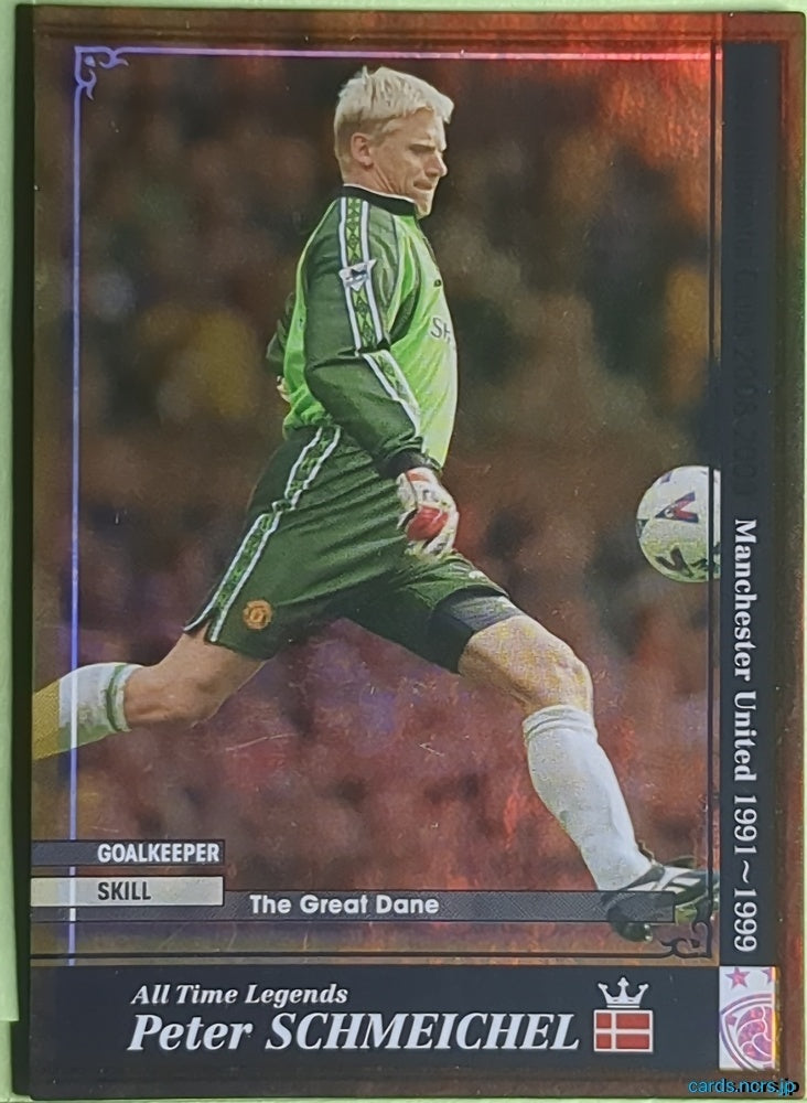 Panini WCCF Football WCCF/2005-2006-ATLE-SCHMEICHEL N Peter Schmeichel Trading Card EX