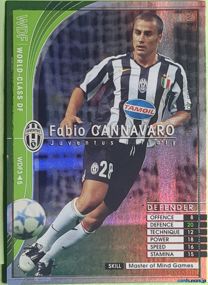 Panini WCCF Football WCCF/2005-2006-WDF3/5 N Fabio Cannavaro Trading Card EX