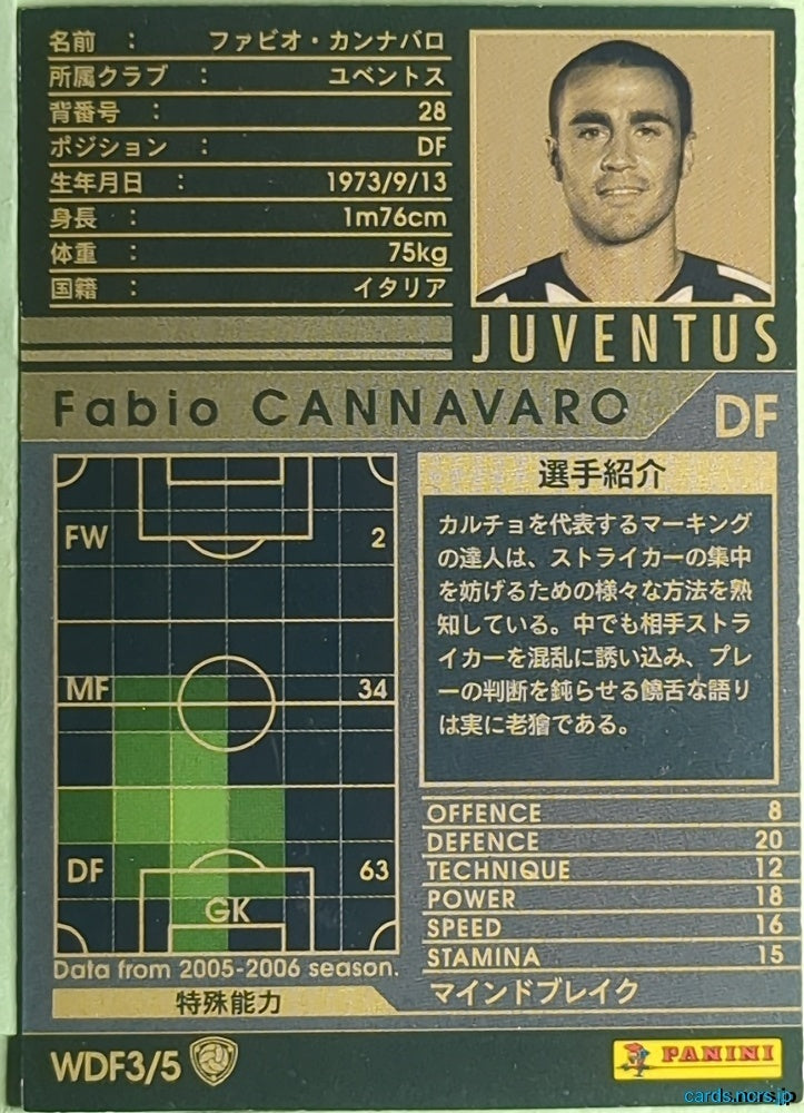 Panini WCCF Football WCCF/2005-2006-WDF3/5 N Fabio Cannavaro Trading Card EX