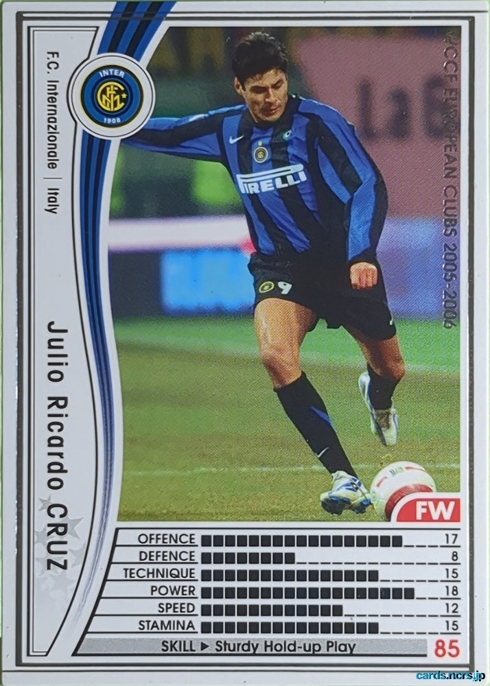 Panini WCCF Football WCCF/2005-2006-206/336 N Julio Ricardo Cruz Trading Card EX