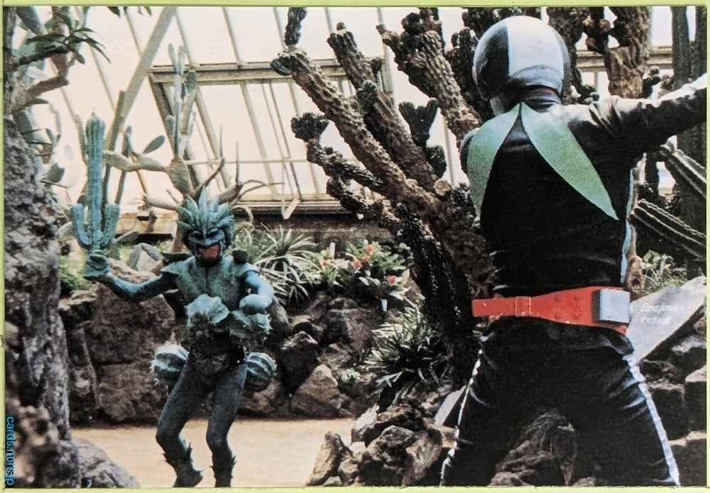 Collection Card Kamen Rider TEMP-COLL-H48CAA2A5203F 2 Trading Card EX