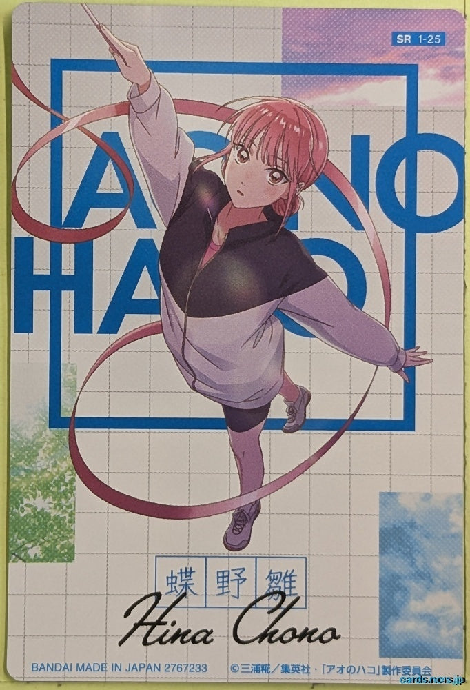 Collection Card Blue Box TEMP-COLL-H69056D033F7A Hina Chono Trading Card EX