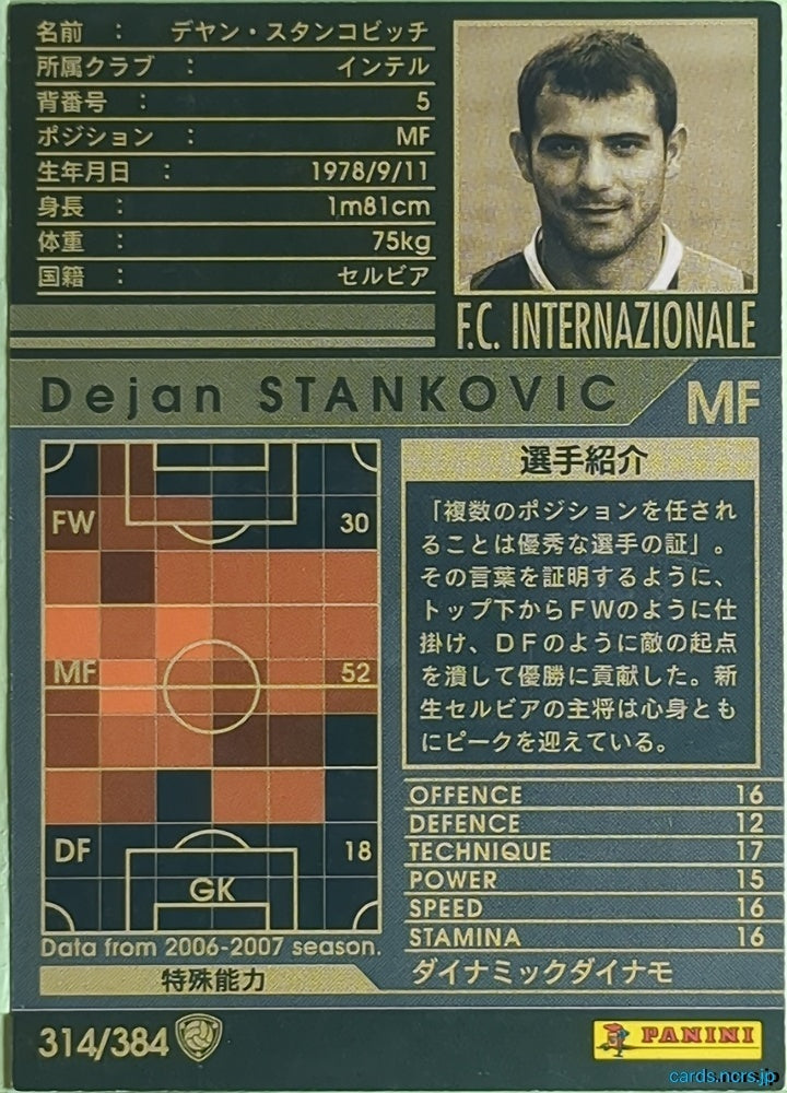 Panini WCCF Football WCCF/2006-2007-314/384 N Dejan Stankovic Trading Card NM