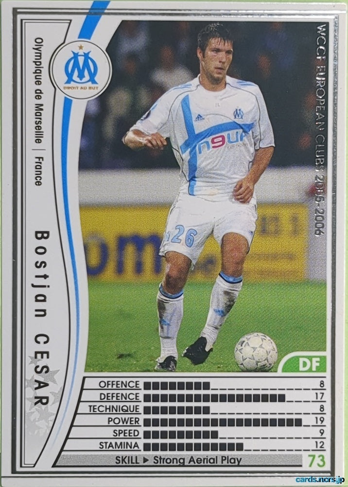 Panini WCCF Football WCCF/2005-2006-100/336 N Bostjan Cesar Trading Card EX