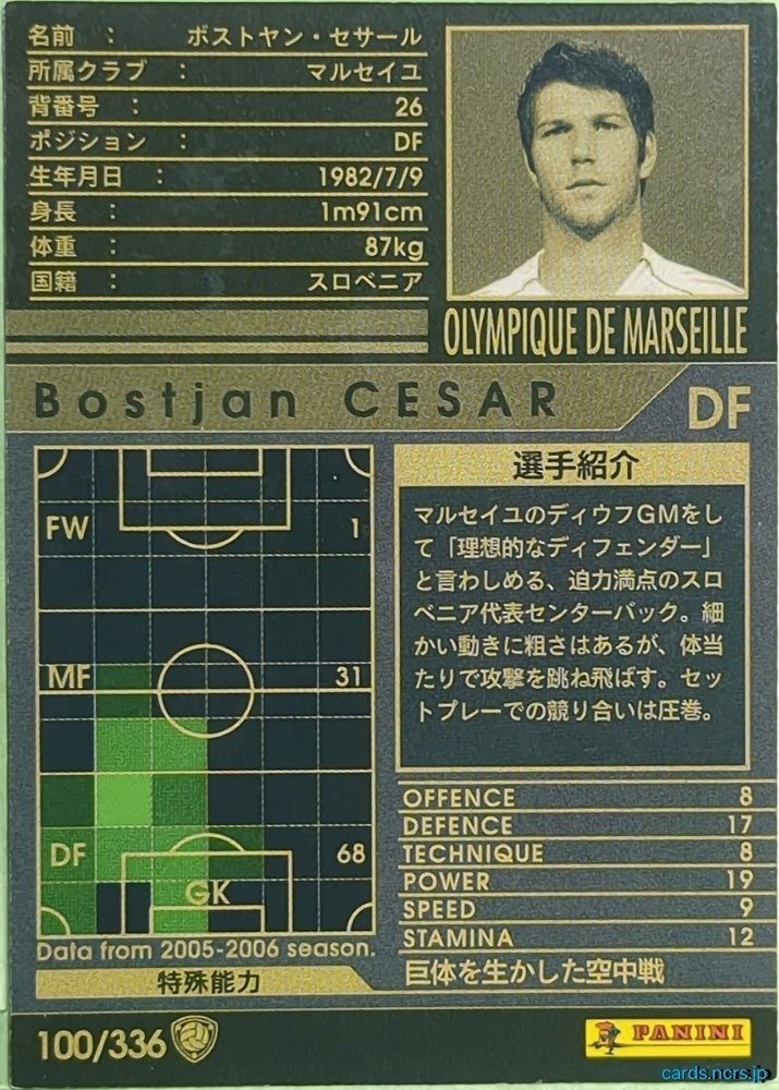 Panini WCCF Football WCCF/2005-2006-100/336 N Bostjan Cesar Trading Card EX