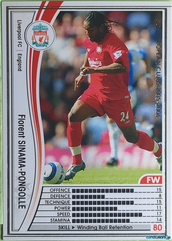 Panini WCCF Football WCCF/2005-2006-048/336 N Florent Sinama-Pongolle Trading Card EX