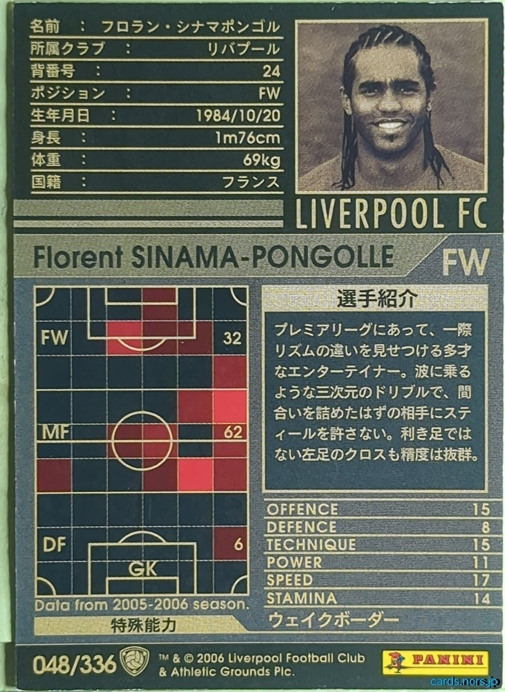 Panini WCCF Football WCCF/2005-2006-048/336 N Florent Sinama-Pongolle Trading Card EX
