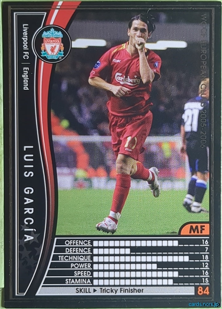 Panini WCCF Football WCCF/2005-2006-039/336 N Luis García Trading Card EX