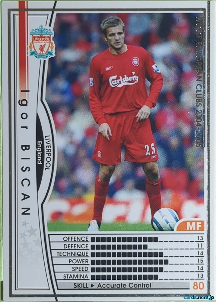 Panini WCCF Football WCCF/2004-2005-040/224 N Igor Biscan Trading Card EX