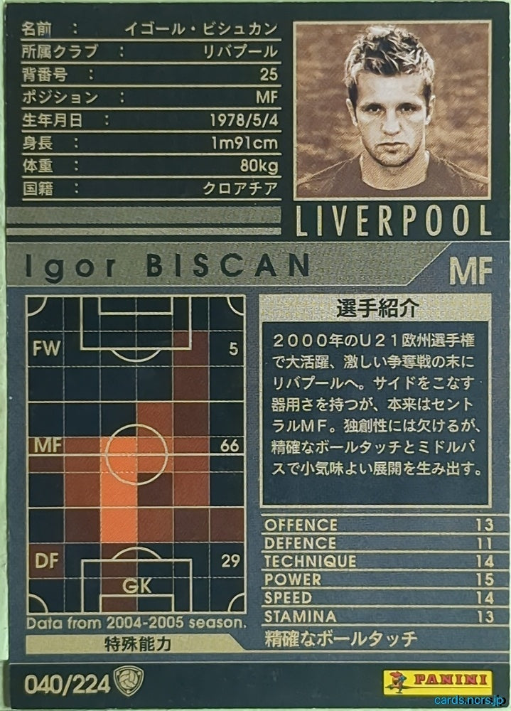 Panini WCCF Football WCCF/2004-2005-040/224 N Igor Biscan Trading Card EX