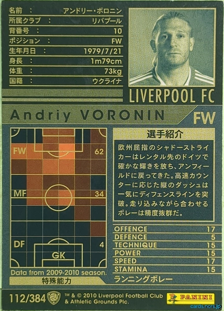 Panini WCCF Football WCCF/2009-2010-112/384 N Andriy Voronin Trading Card EX