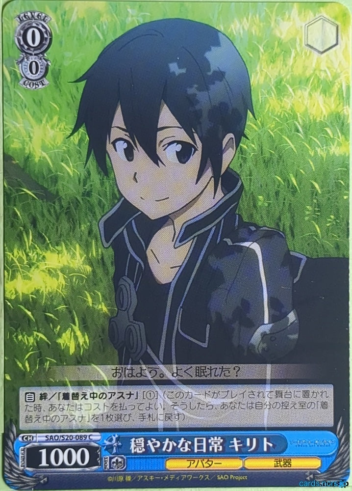 Weiss Schwarz Sword Art Online SAO/S20-089C C Kirito Trading Card NM
