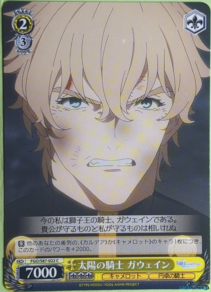 Weiss Schwarz Fate Grand Order FGO/S87-022C C Gawain Trading Card NM