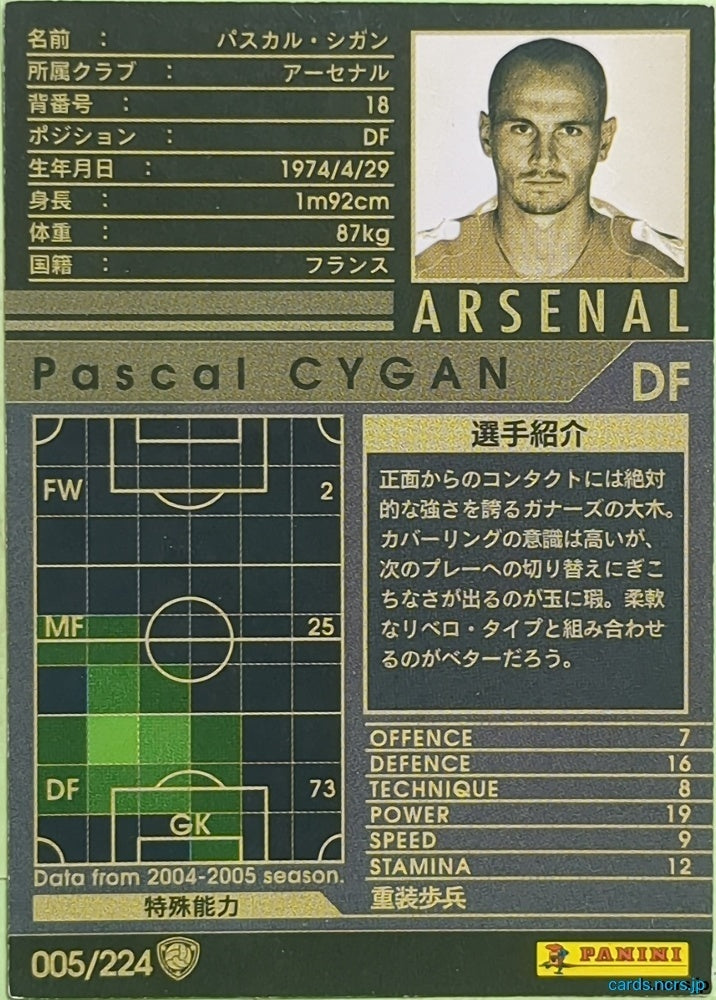 Panini WCCF Football WCCF/2004-2005-005/224 N Pascal CYGAN Trading Card EX