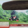 Weiss Schwarz Rewrite RW/W48-071CR CR Trading Card NM