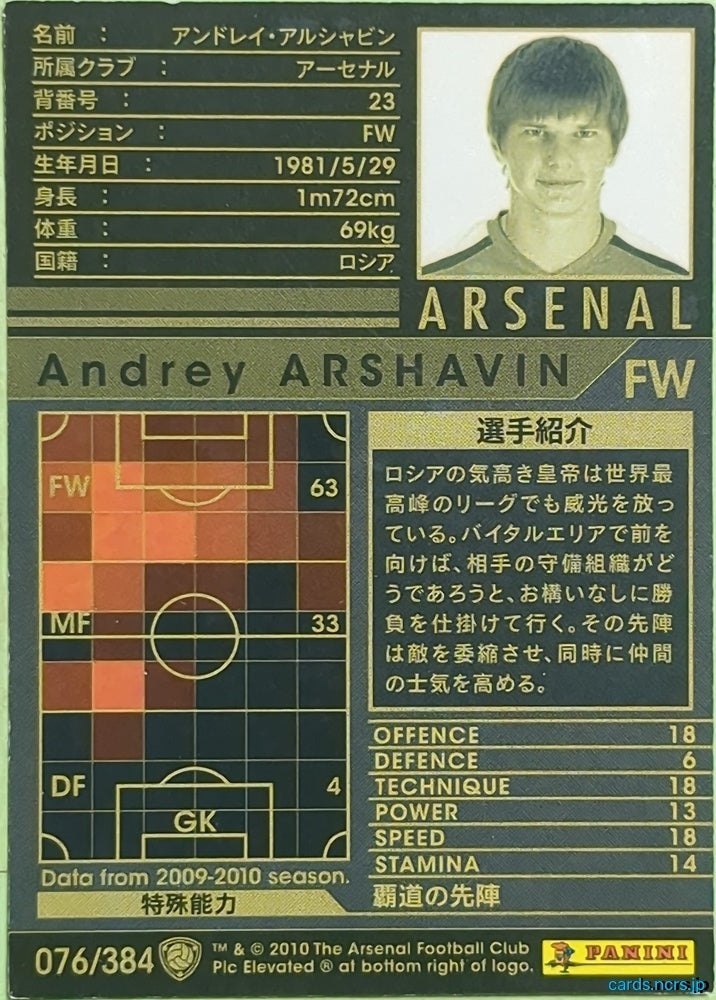 Panini WCCF Football WCCF/2009-2010-076/384 N Andrei Arshavin Trading Card EX