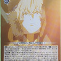 Weiss Schwarz Fate Grand Order FGO/S87-017C C Gawain Trading Card NM
