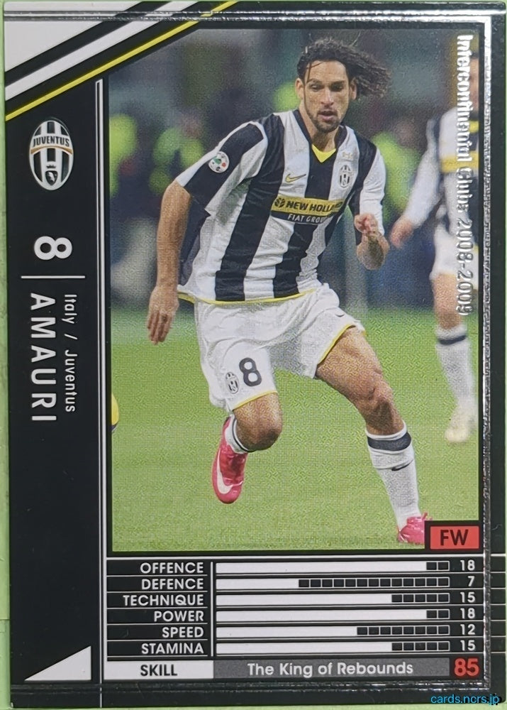 Panini WCCF Football WCCF/2008-2009-270/352 N Amauri Trading Card EX
