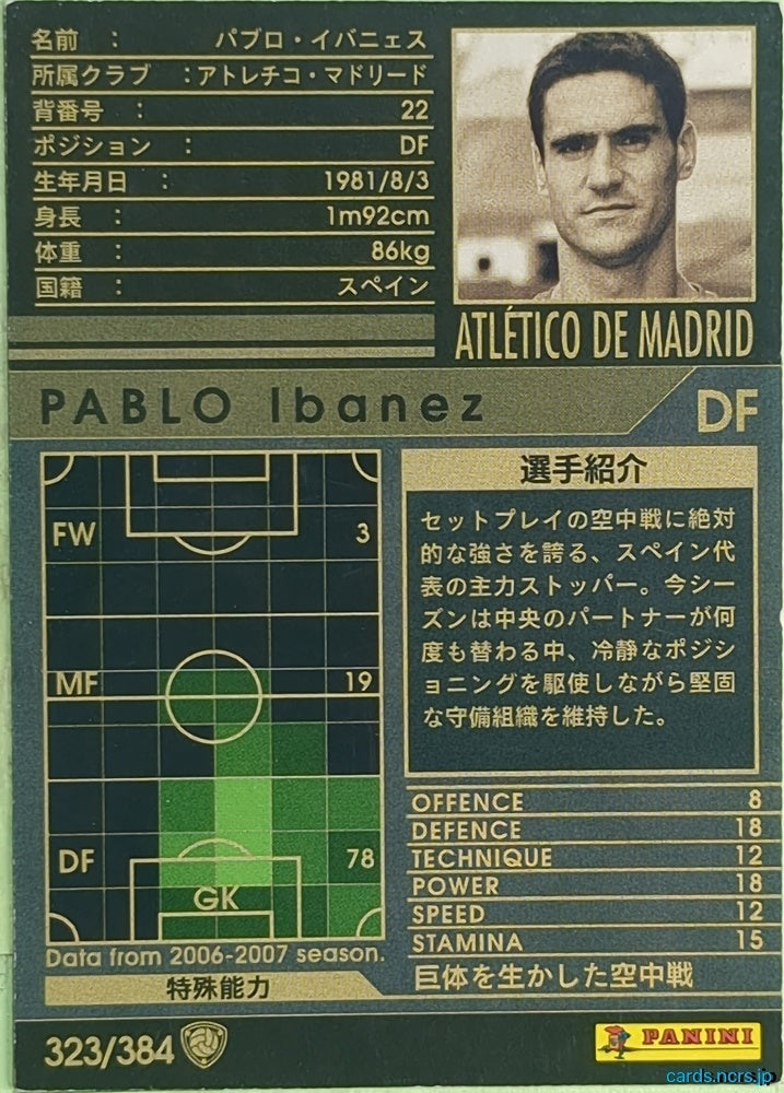 Panini WCCF Football WCCF/2006-2007-323/384 N Pablo Ibáñez Trading Card EX
