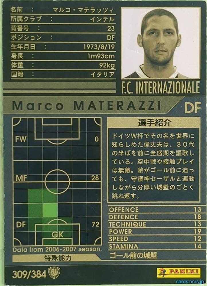 Panini WCCF Football WCCF/2007-2008-309/384 N Marco MATERAZZI Trading Card EX