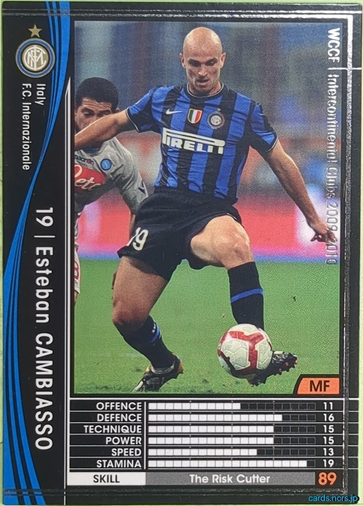 Panini WCCF Football WCCF/2009-2010-248/384 N Esteban Cambiasso Trading Card EX