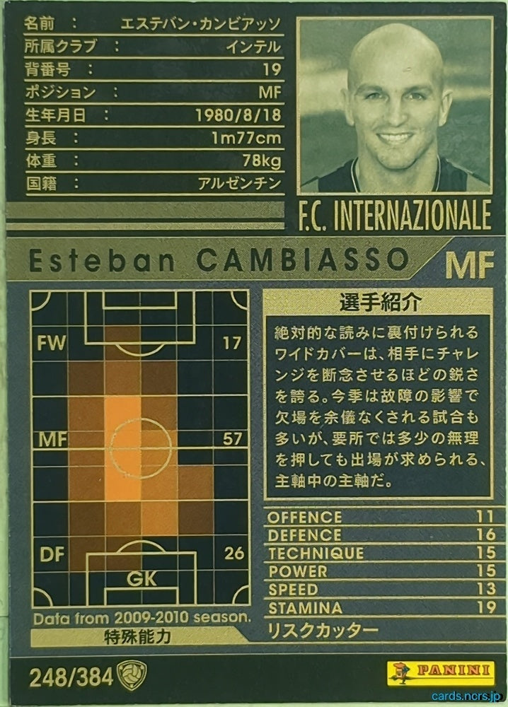 Panini WCCF Football WCCF/2009-2010-248/384 N Esteban Cambiasso Trading Card EX