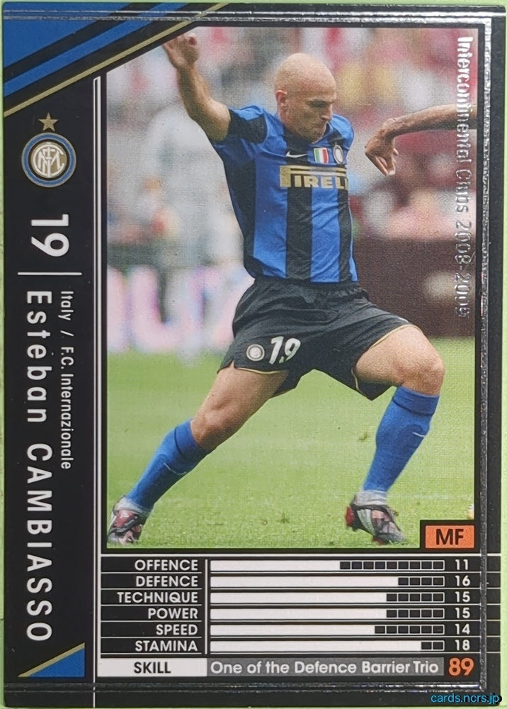 Panini WCCF Football WCCF/2008-2009-247/352 N Esteban Cambiasso Trading Card EX