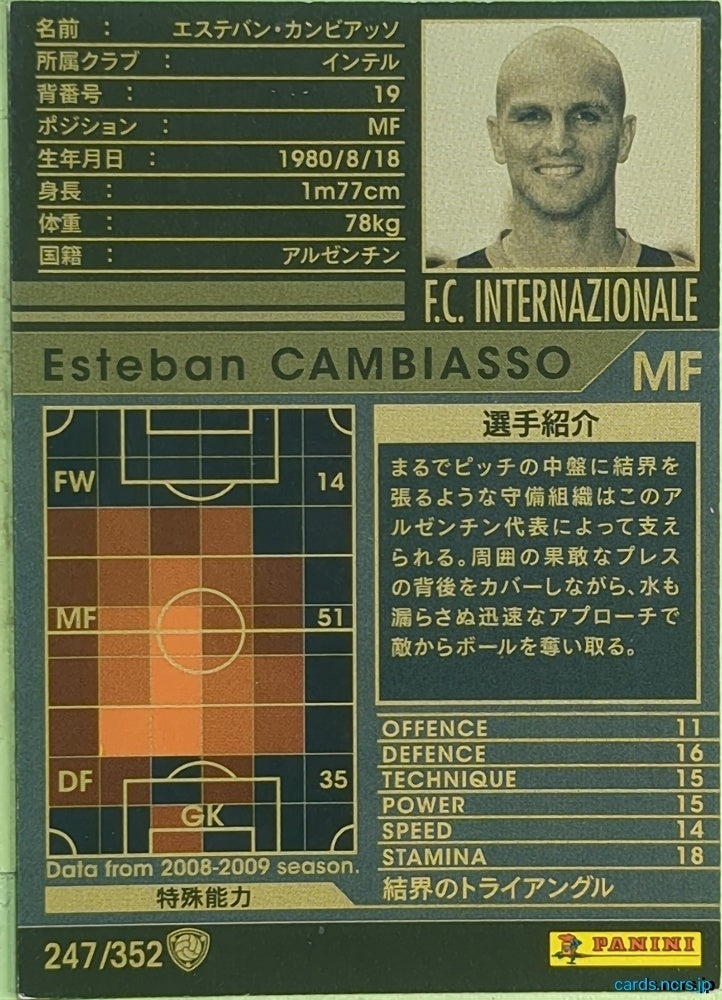Panini WCCF Football WCCF/2008-2009-247/352 N Esteban Cambiasso Trading Card EX