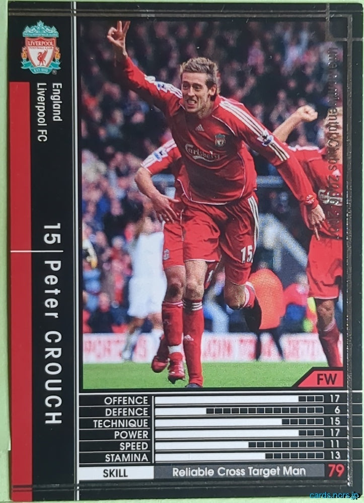 Panini WCCF Football WCCF/2006-2007-126/384 N Peter Crouch Trading Card EX