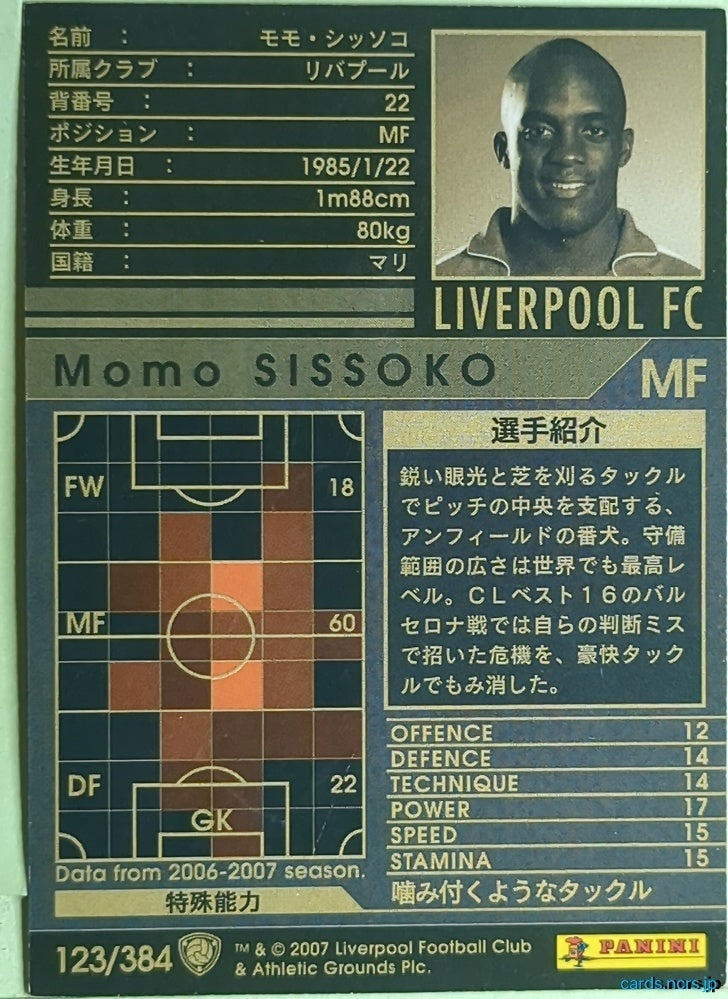 Panini WCCF Football WCCF/2006-2007-123/384 N Momo Sissoko Trading Card EX
