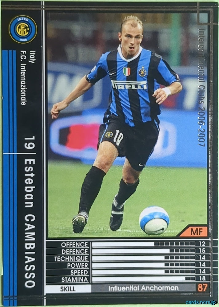 Panini WCCF Football WCCF/2006-2007-311/384 N Esteban Cambiasso Trading Card EX