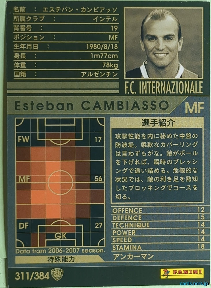 Panini WCCF Football WCCF/2006-2007-311/384 N Esteban Cambiasso Trading Card EX