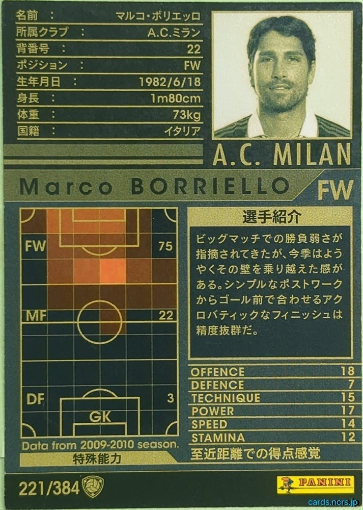 Panini WCCF Football WCCF/2009-2010-221/384 N Marco BORRIELLO Trading Card EX