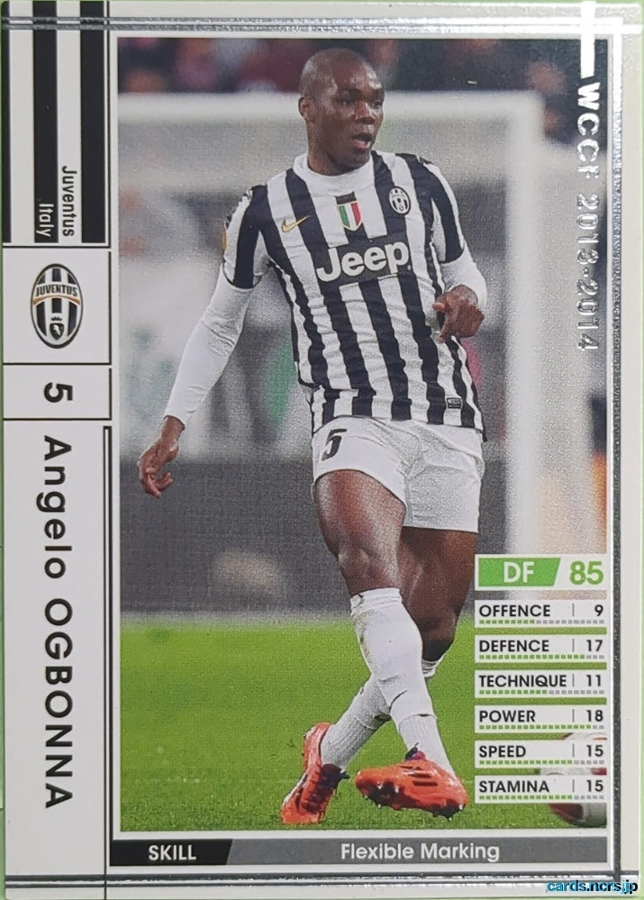 Panini WCCF Football WCCF/2013-2014-182/385 N Angelo Ogbonna Trading Card EX