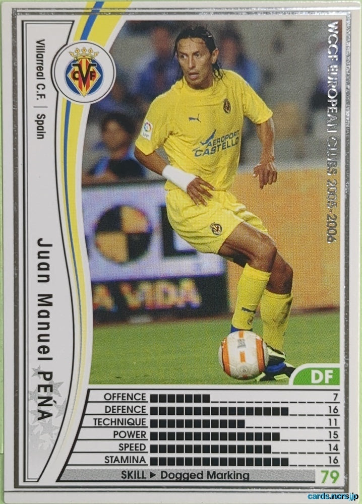 Panini WCCF Football WCCF/2005-2006-324/336 N Juan Manuel Pena Trading Card EX