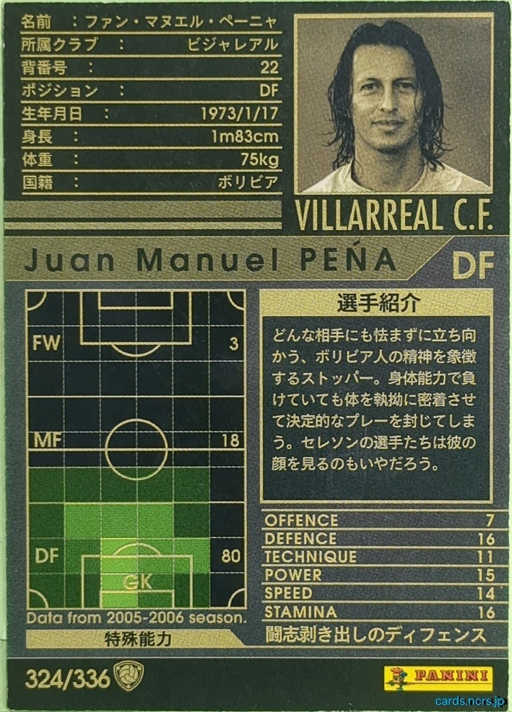 Panini WCCF Football WCCF/2005-2006-324/336 N Juan Manuel Pena Trading Card EX