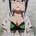 Weiss Schwarz Idolmaster IM/S21-023R R Ritsuko Akizuki Trading Card NM