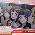 Weiss Schwarz BanG Dream! BD/W73-063CC CC Poppin'Party Trading Card NM