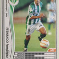 Panini WCCF Football WCCF/2005-2006-299/336 N Fernando Fernández Trading Card EX