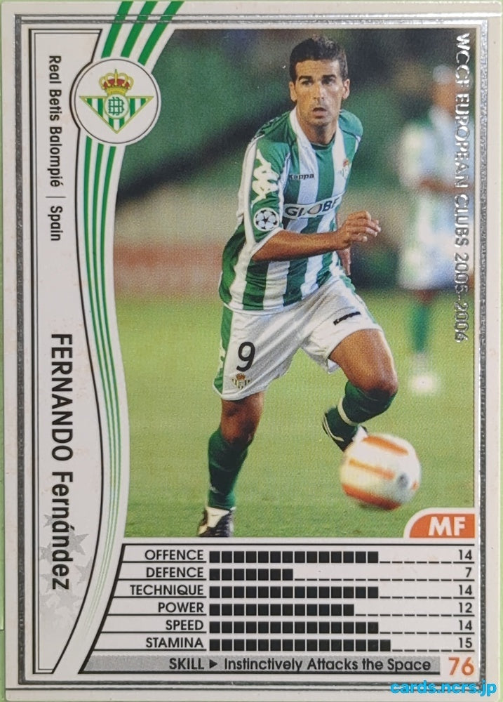 Panini WCCF Football WCCF/2005-2006-299/336 N Fernando Fernández Trading Card EX