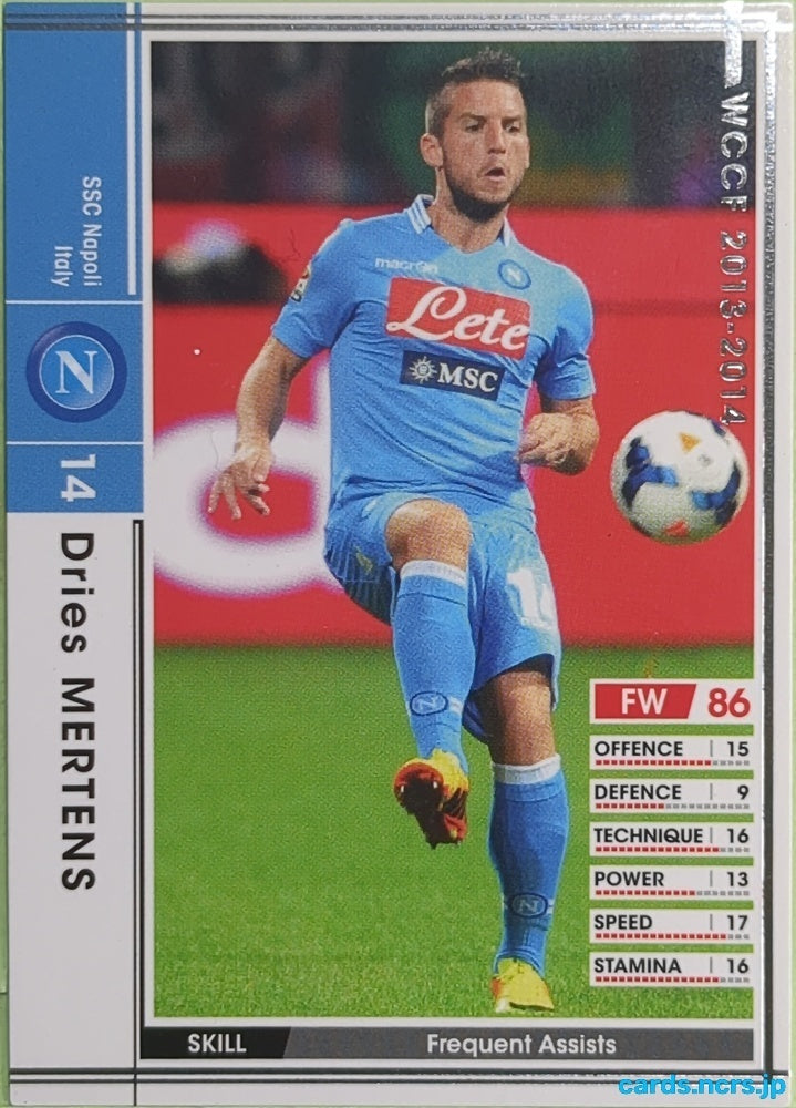 Panini WCCF Football WCCF/2013-2014-207/385 N Dries MERTENS Trading Card EX