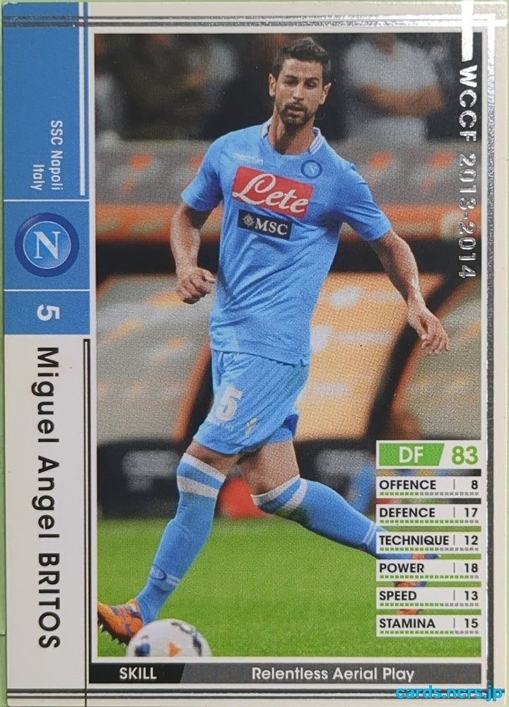 Panini WCCF Football WCCF/2013-2014-196/385 N Miguel Angel BRITOS Trading Card EX